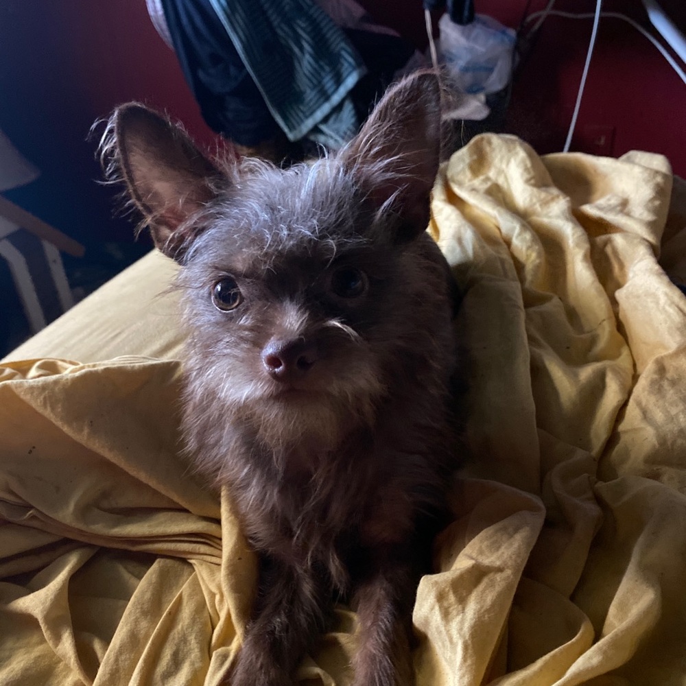 Meet your Posher, James